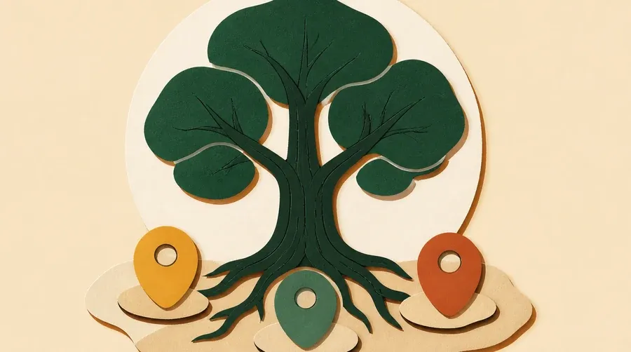 Un arbre vert forêt relie trois marqueurs ocre, sauge et terre cuite.