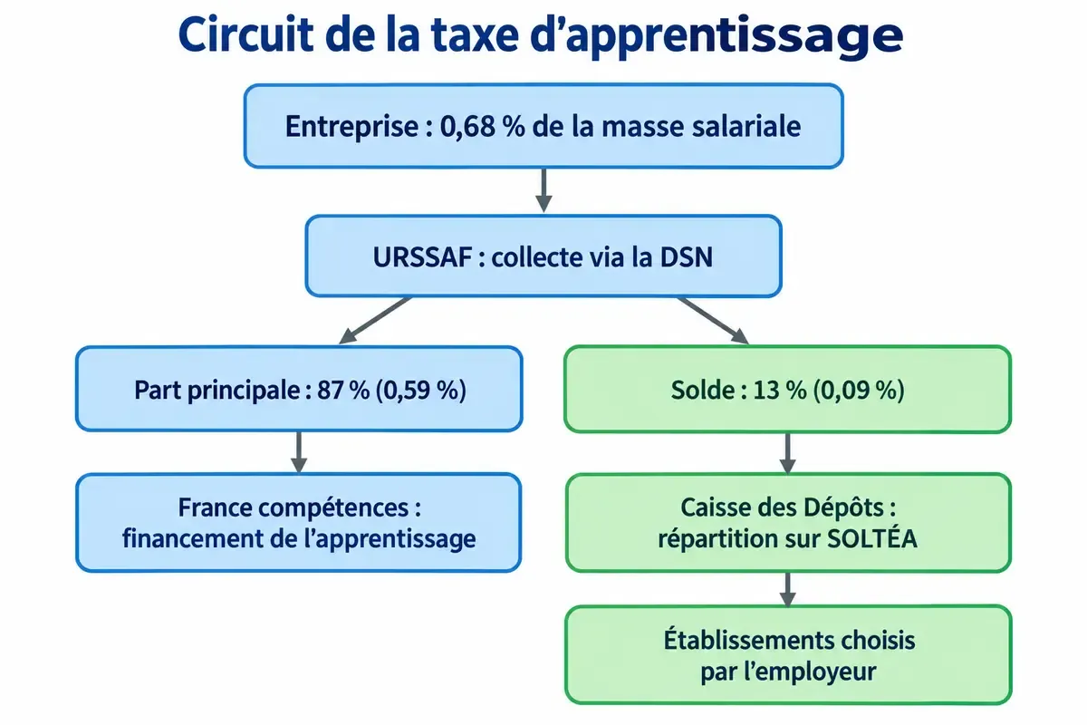 Circuit de la taxe d’apprentissage : collecte par l’URSSAF, part principale vers France compétences, solde réparti sur SOLTÉA