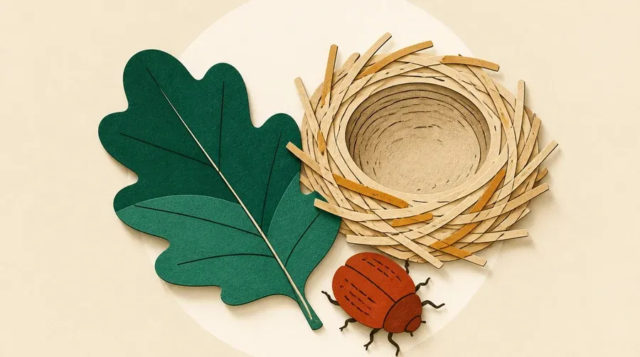 Une feuille vert forêt, un nid sable et un petit scarabée terre cuite.