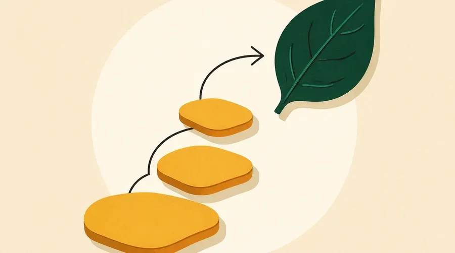 Trois pierres ocre mènent vers une feuille vert forêt et une flèche sombre.